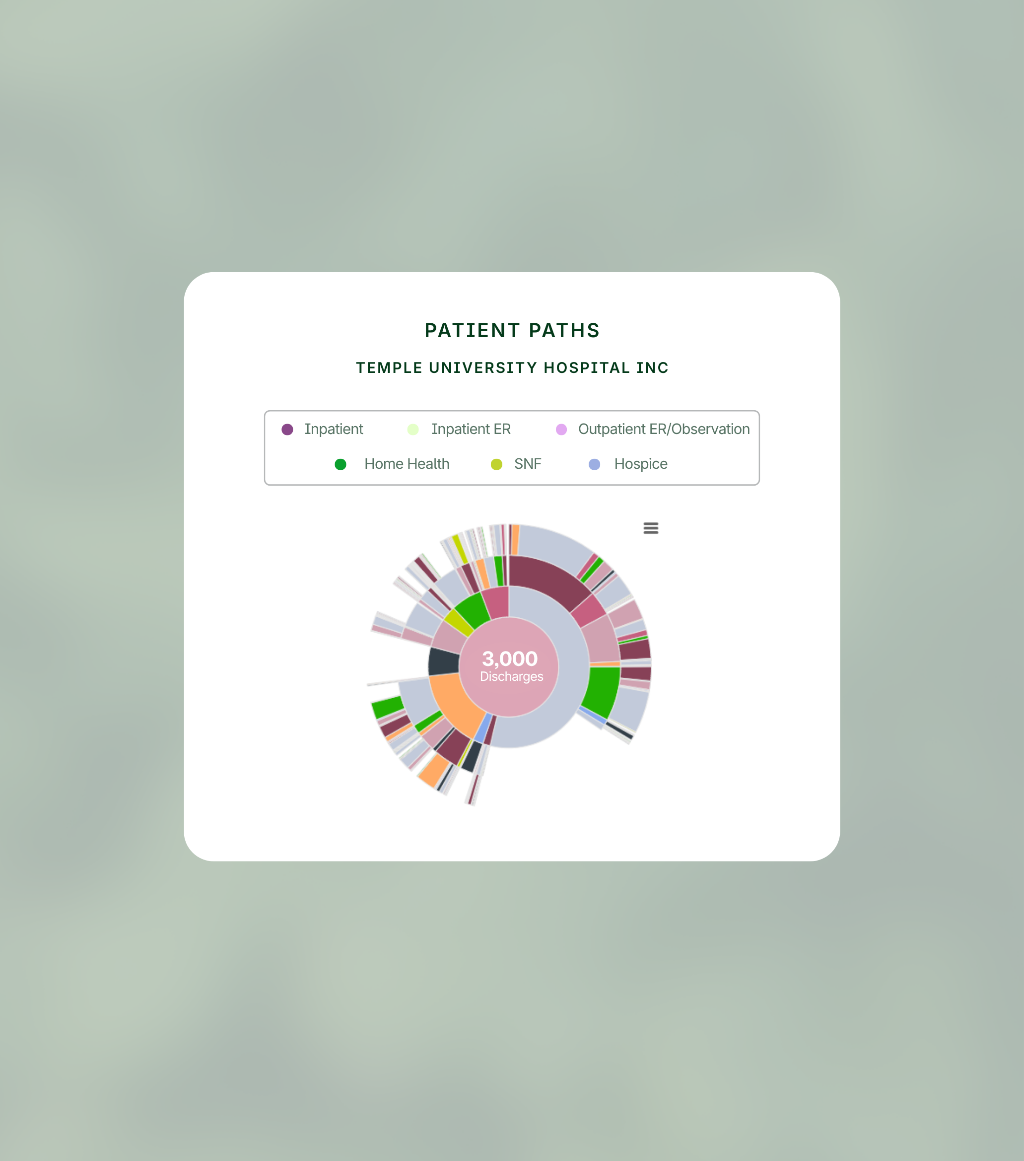 Donut chart showing 3,000 patient discharges from Temple University Hospital Inc., categorized by care paths such as inpatient, ER, home health, SNF, outpatient, and hospice.