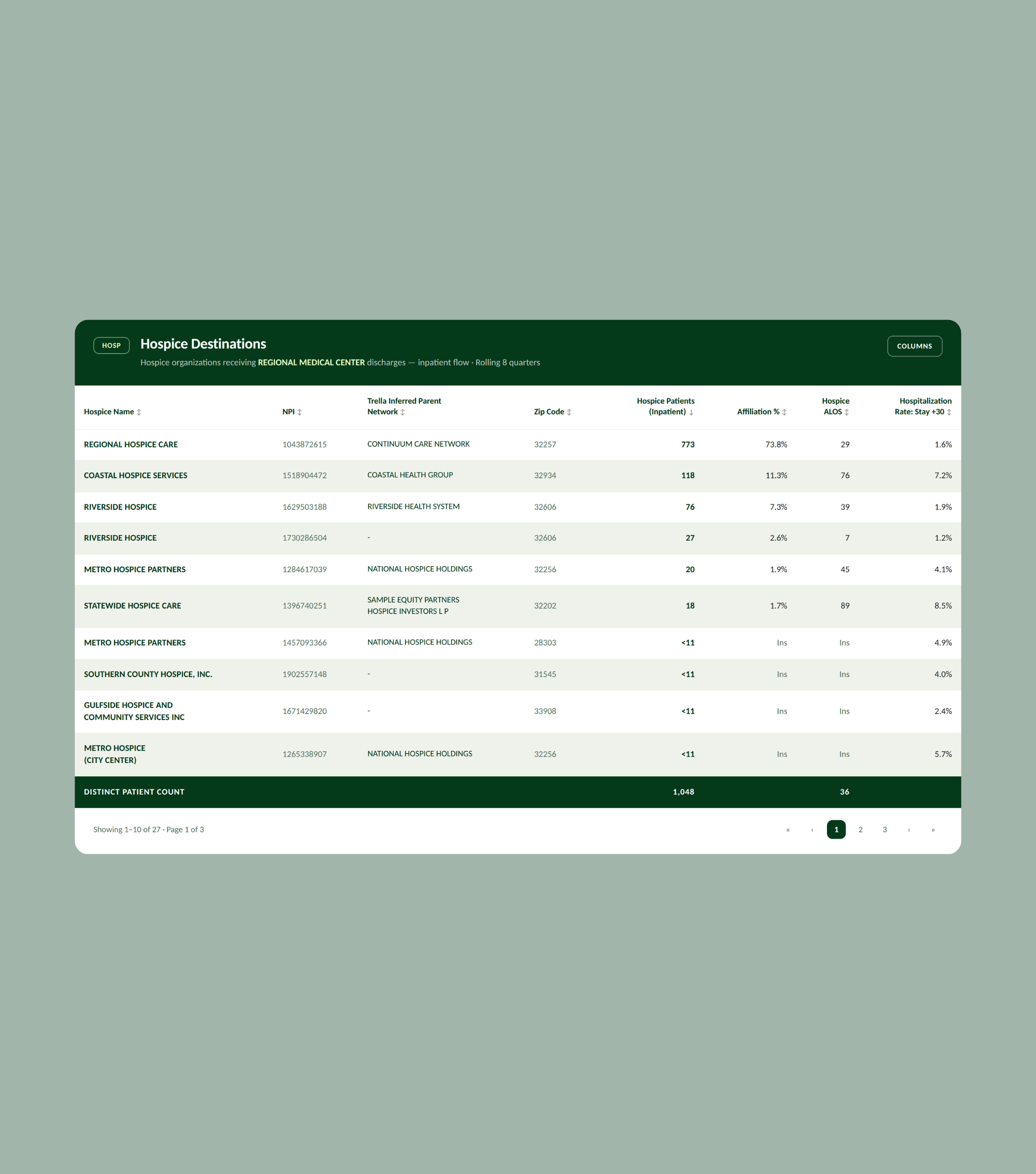 A table displays hospice destinations with columns for name, total patients, zip code, facility, patients, affiliation percentage, transfer percentage, and share.