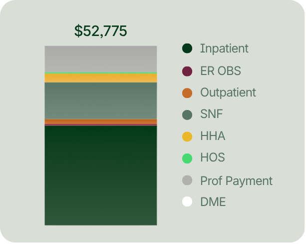 Bar chart with segments in various colors representing healthcare costs totaling $52,775, categorized by service types like inpatient, outpatient, ER, SNF, HHA, HOS, professional payment, and DME.